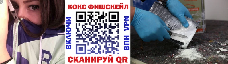 Купить где  Томск  COCAIN Fish Scale 