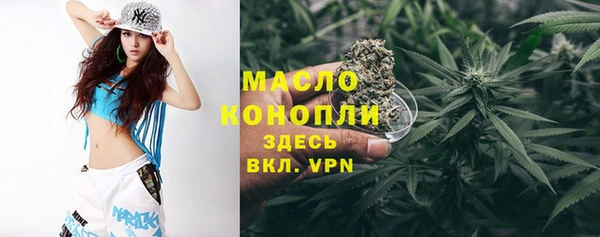 индика Новодвинск