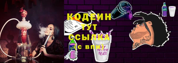 индика Новодвинск