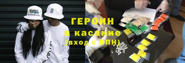 индика Новодвинск