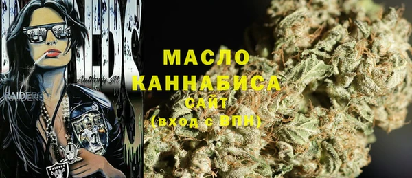 индика Новодвинск