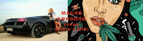 индика Новодвинск