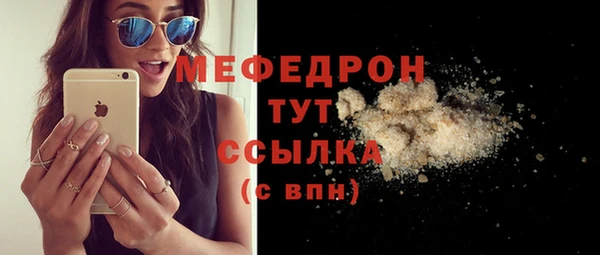 индика Новодвинск