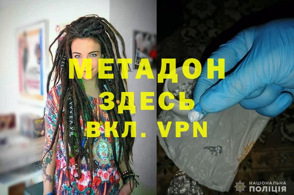 индика Новодвинск