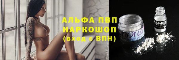 твердый Новокубанск