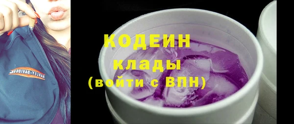 индика Новодвинск
