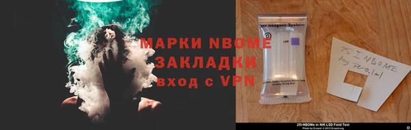 индика Новодвинск