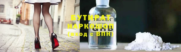 индика Новодвинск