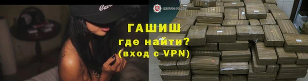 индика Новодвинск