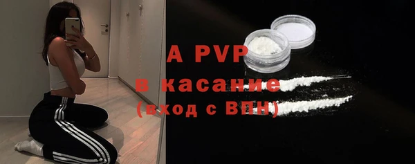 индика Новодвинск