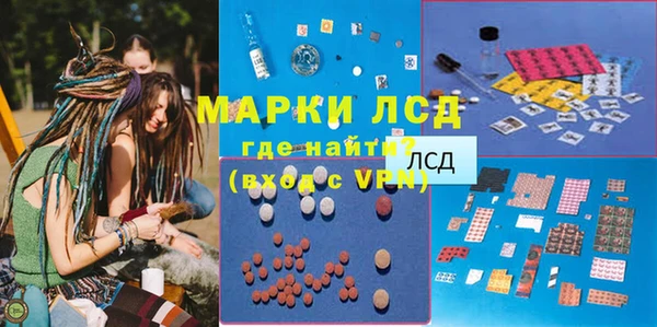 индика Новодвинск