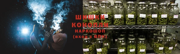 индика Новодвинск