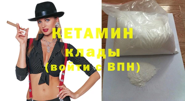 индика Новодвинск