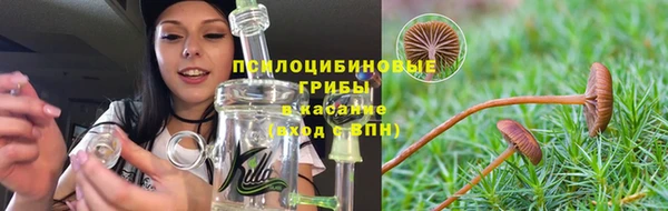 твердый Новокубанск